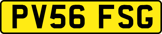PV56FSG