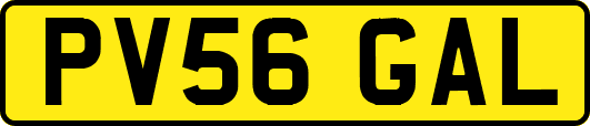 PV56GAL