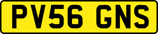 PV56GNS