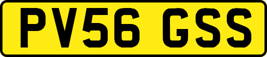 PV56GSS