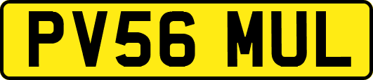 PV56MUL