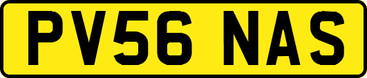 PV56NAS
