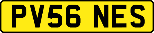 PV56NES