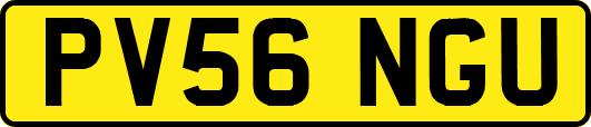 PV56NGU