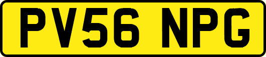 PV56NPG