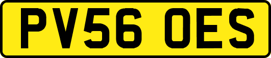 PV56OES