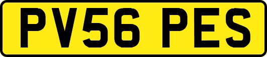 PV56PES
