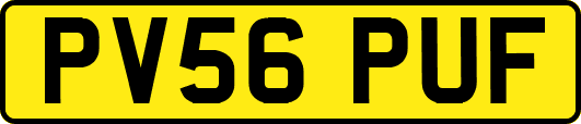 PV56PUF