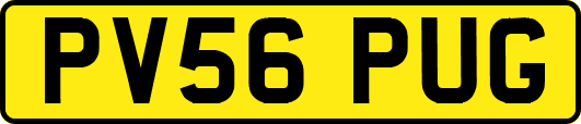 PV56PUG