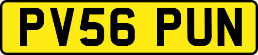 PV56PUN
