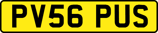 PV56PUS