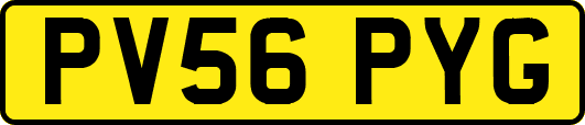 PV56PYG