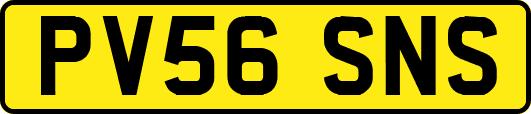 PV56SNS