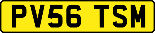 PV56TSM
