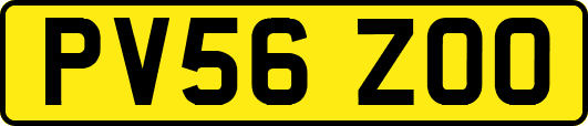 PV56ZOO