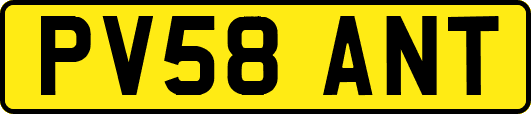 PV58ANT