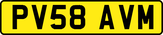 PV58AVM