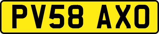 PV58AXO