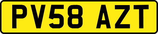 PV58AZT