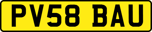 PV58BAU