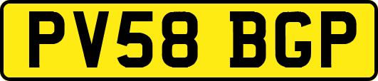 PV58BGP