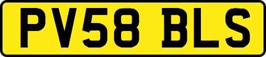 PV58BLS