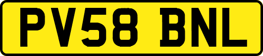 PV58BNL