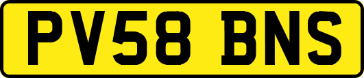 PV58BNS
