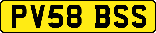 PV58BSS