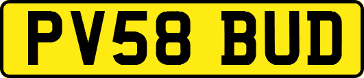 PV58BUD