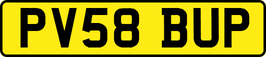 PV58BUP