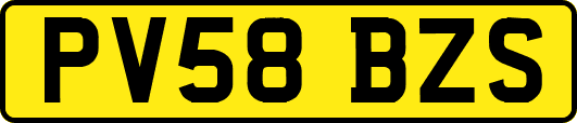 PV58BZS