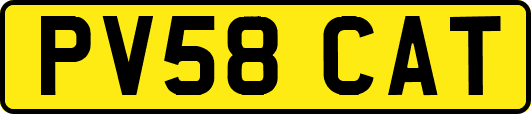 PV58CAT