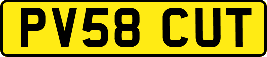 PV58CUT