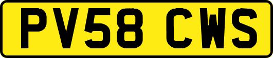 PV58CWS