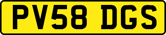 PV58DGS