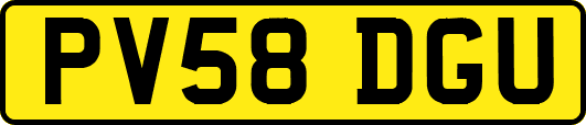 PV58DGU