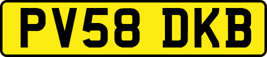 PV58DKB