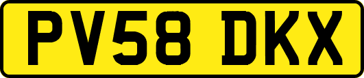 PV58DKX