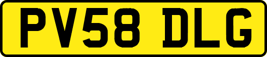 PV58DLG