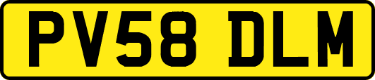 PV58DLM