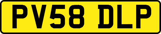 PV58DLP