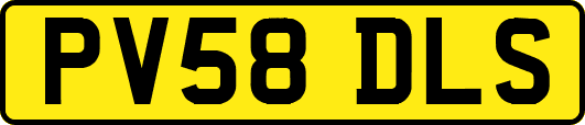 PV58DLS