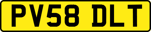 PV58DLT