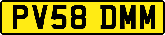 PV58DMM