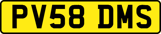PV58DMS