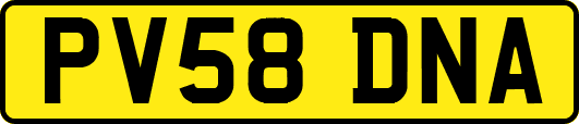 PV58DNA