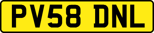 PV58DNL