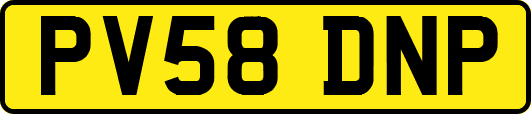 PV58DNP