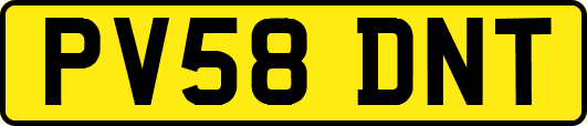 PV58DNT